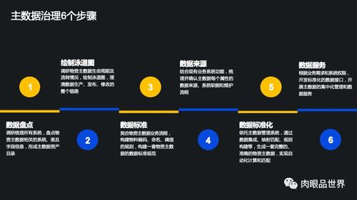 集团数据管控与数据治理解决方案 构建企业数据处理服务新标杆